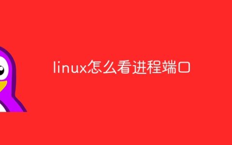 linux怎么看进程端口