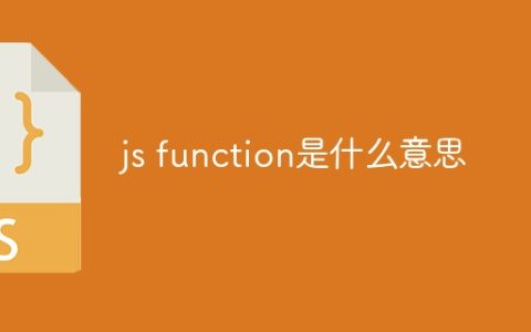 js function是什么意思