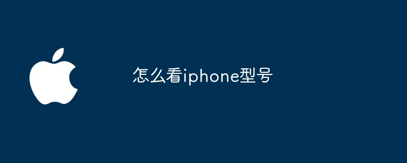 怎么看iphone型号