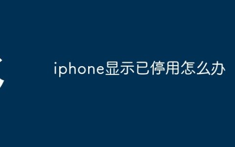 iphone显示已停用怎么办