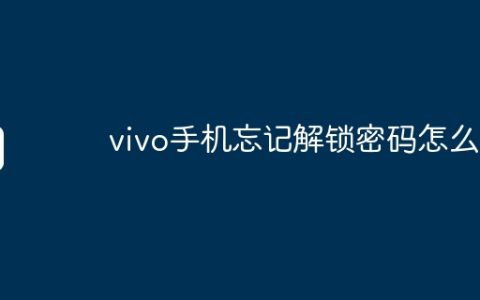 vivo手机忘记解锁密码怎么办