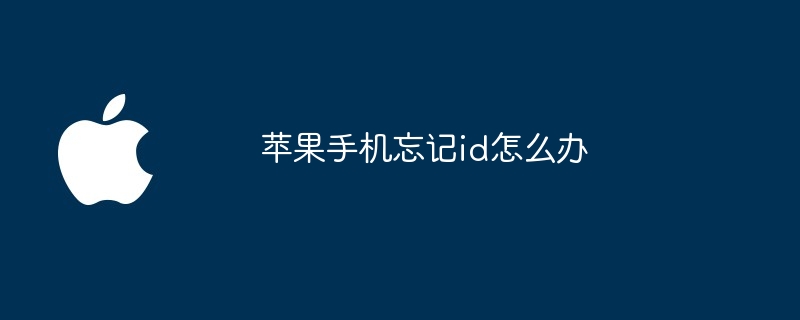 苹果手机忘记id怎么办
