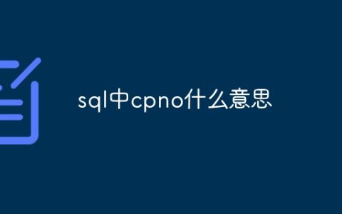 sql中cpno什么意思