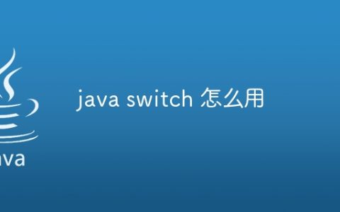 java switch 怎么用
