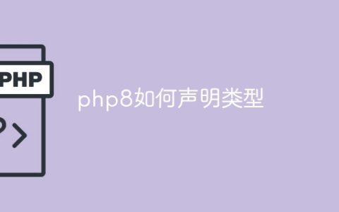 php8如何声明类型