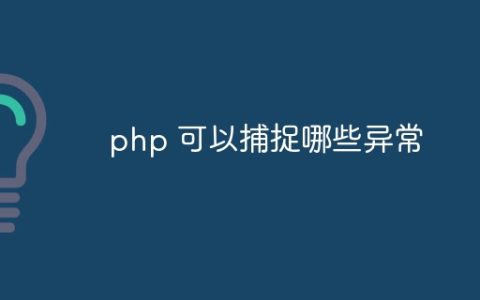 php 可以捕捉哪些异常