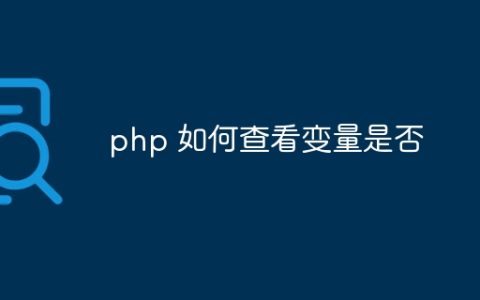 php 如何查看变量是否