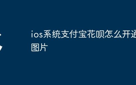 ios系统支付宝花呗怎么开通图片