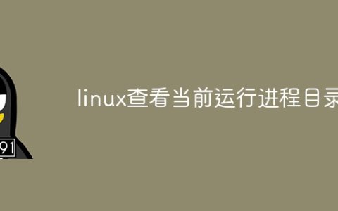linux查看当前运行进程目录