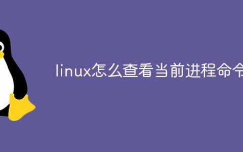 linux怎么查看当前进程命令