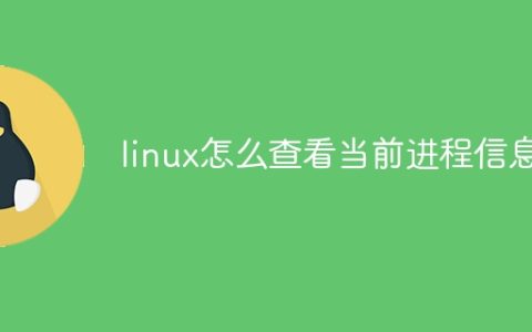 linux怎么查看当前进程信息