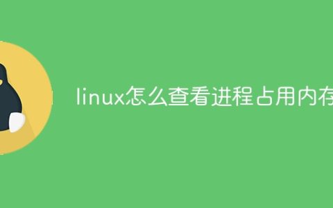 linux怎么查看进程占用内存