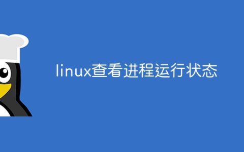 linux查看进程运行状态