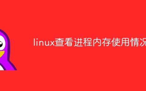 linux查看进程内存使用情况