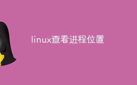 linux查看进程位置