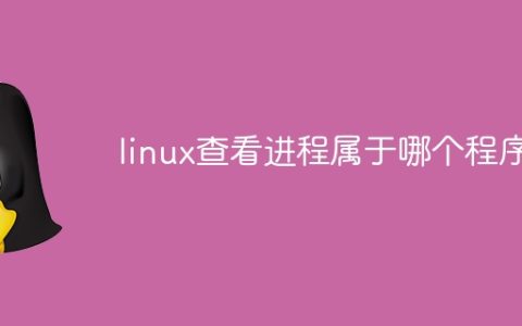 linux查看进程属于哪个程序
