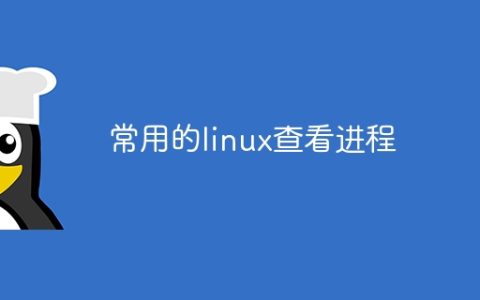 常用的linux查看进程
