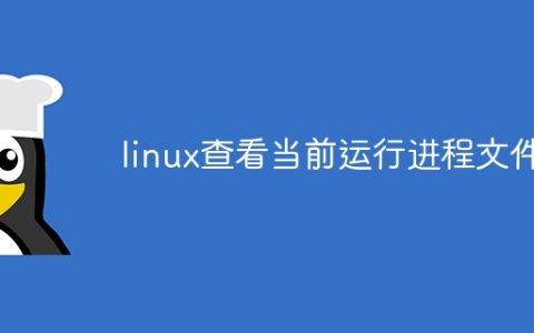 linux查看当前运行进程文件