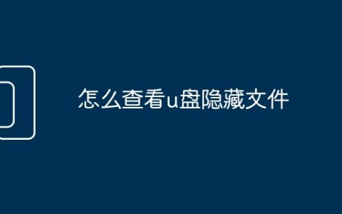 怎么查看u盘隐藏文件
