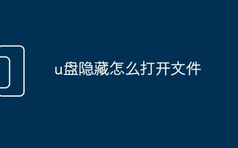 u盘隐藏怎么打开文件