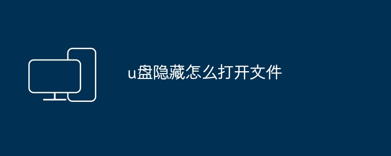 u盘隐藏怎么打开文件