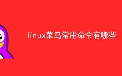 linux菜鸟常用命令有哪些