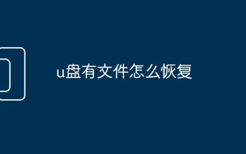 u盘有文件怎么恢复