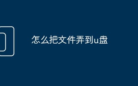 怎么把文件弄到u盘