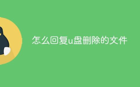怎么回复u盘删除的文件