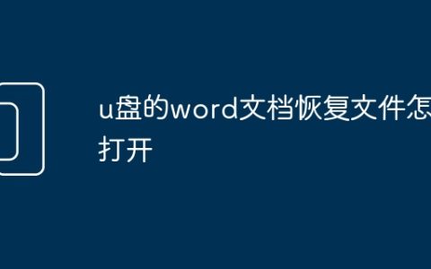 u盘的word文档恢复文件怎么打开
