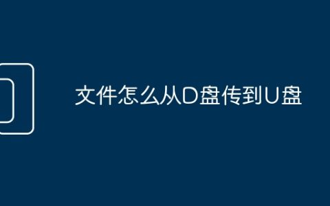 文件怎么从D盘传到U盘