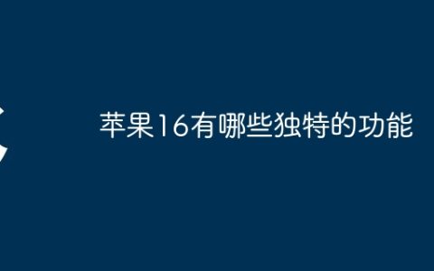 苹果16有哪些独特的功能
