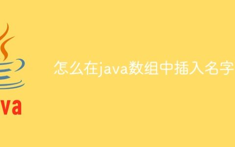 怎么在java数组中插入名字