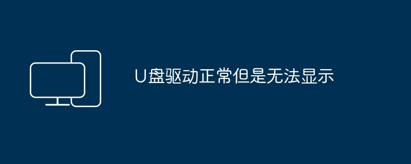 U盘驱动正常但是无法显示