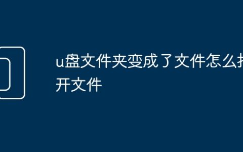 u盘文件夹变成了文件怎么打开文件