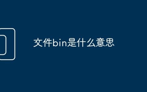 文件bin是什么意思