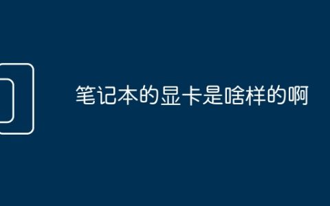 笔记本的显卡是啥样的啊