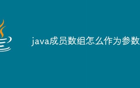 java成员数组怎么作为参数