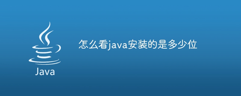怎么看java安装的是多少位