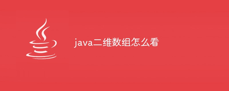 java二维数组怎么看