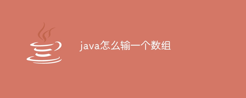 java怎么输一个数组