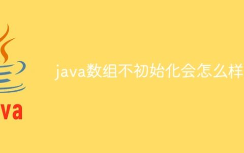 java数组不初始化会怎么样