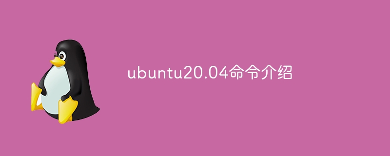 ubuntu20.04命令介绍