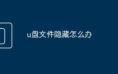 u盘文件隐藏怎么办