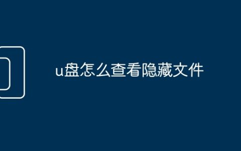 u盘怎么查看隐藏文件