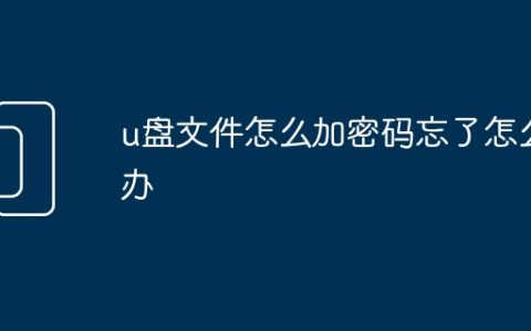 u盘文件怎么加密码忘了怎么办