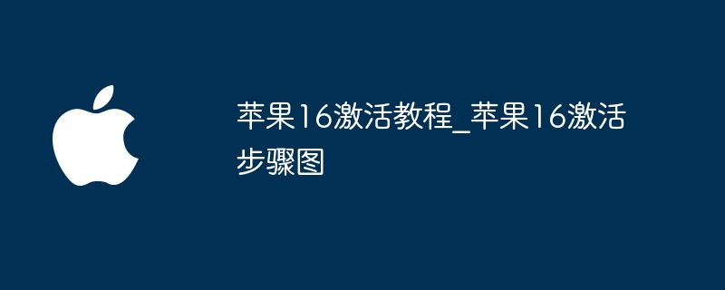 苹果16激活教程_苹果16激活步骤图