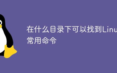 在什么目录下可以找到Linux常用命令
