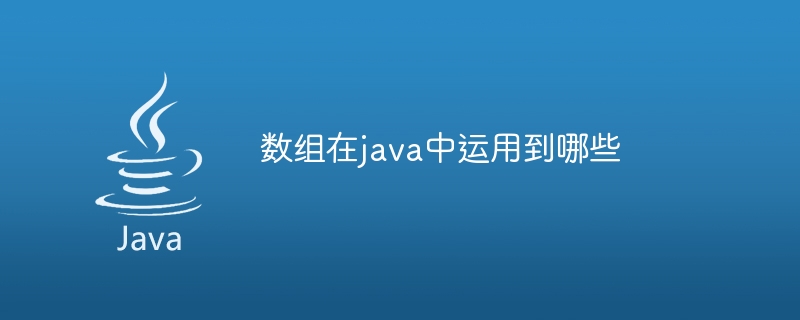 数组在java中运用到哪些