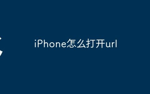 iPhone怎么打开url